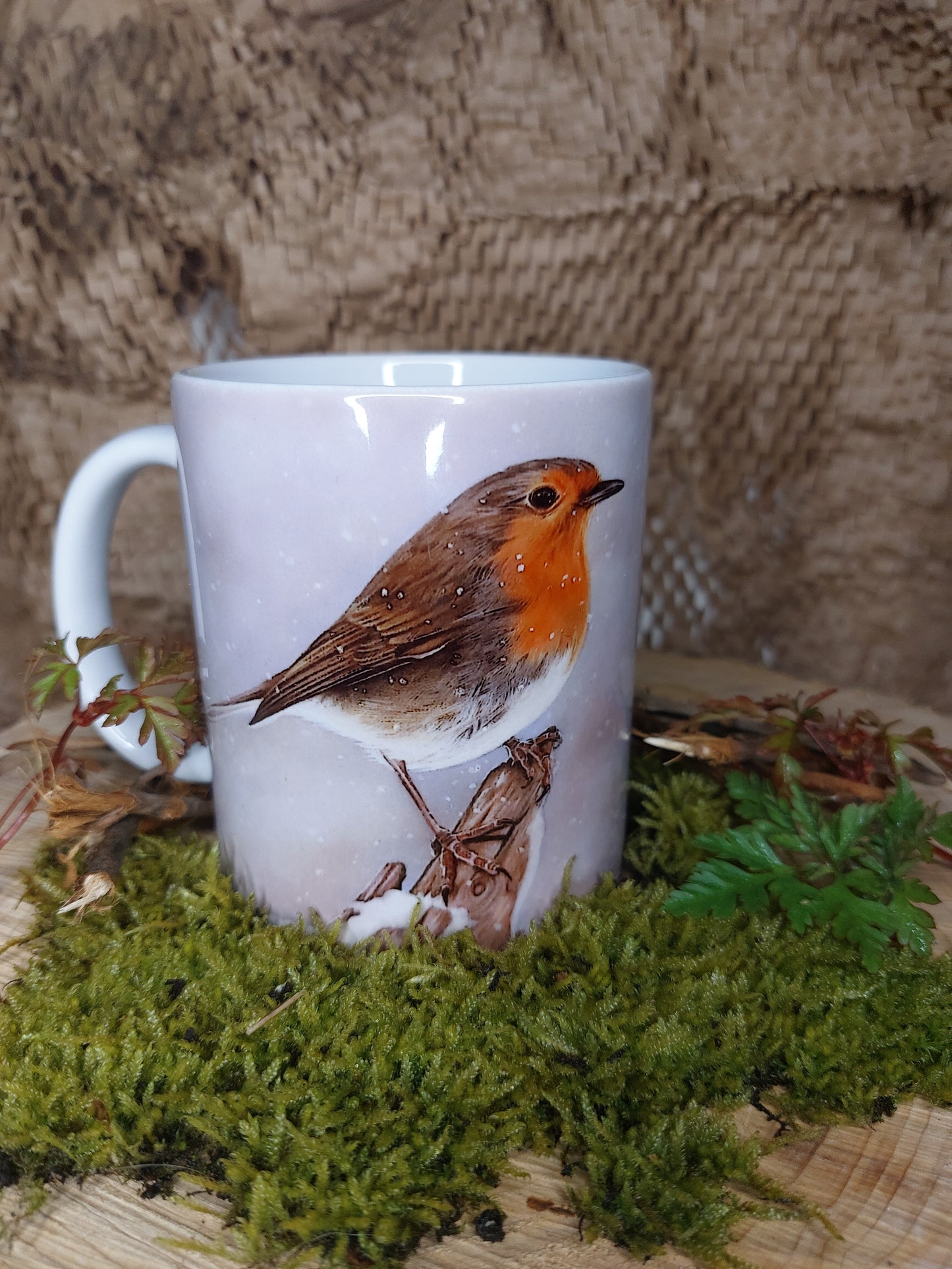 Snowy Robin Mug