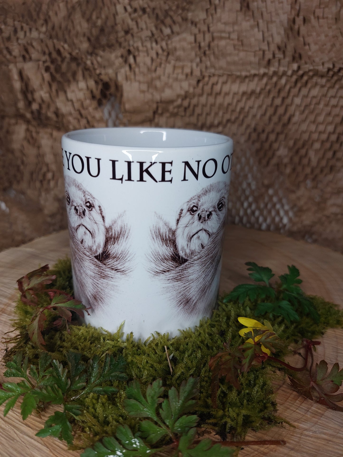 Love You Like No Otter Mug