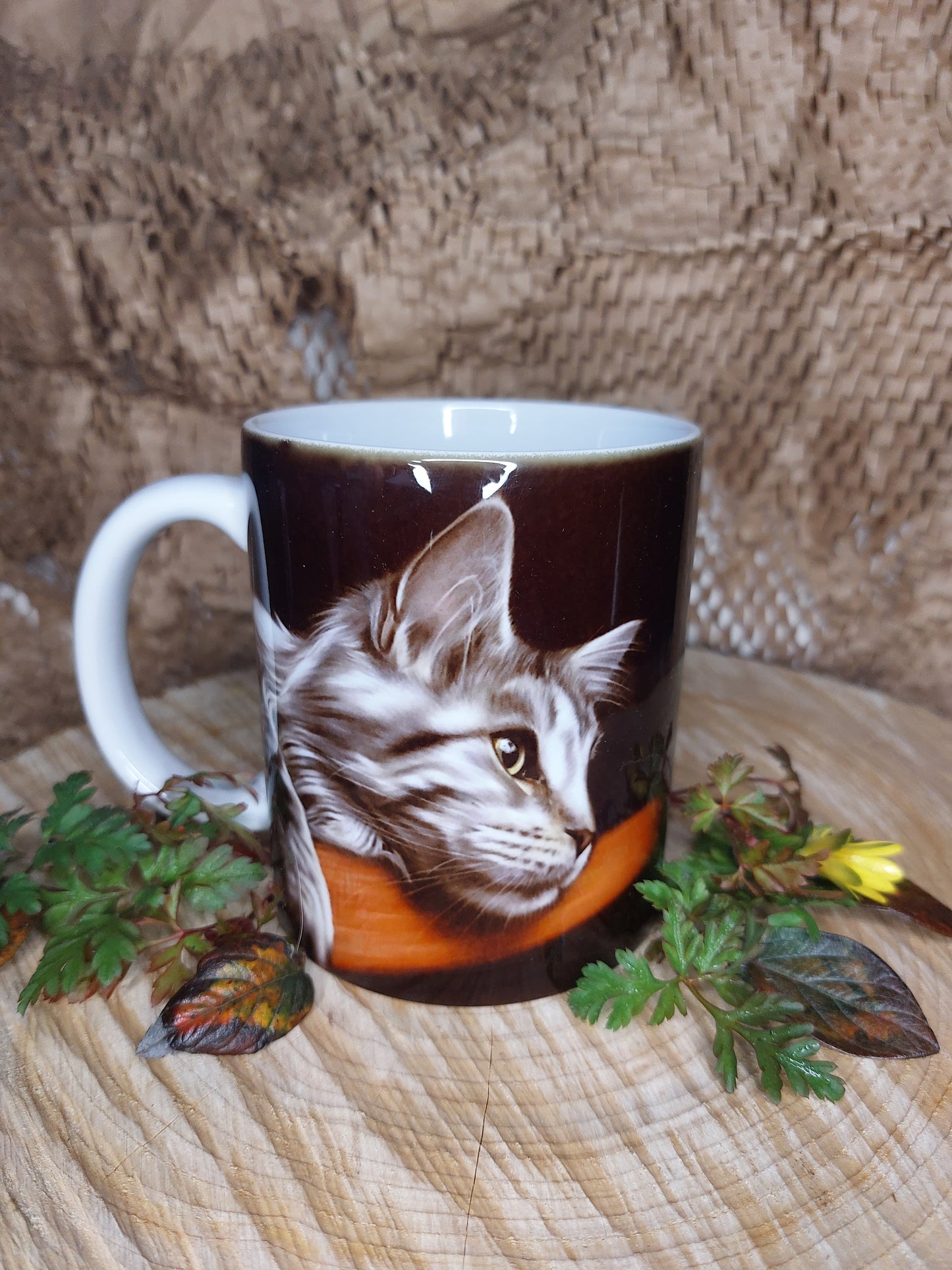 Sleepy Cat Mug