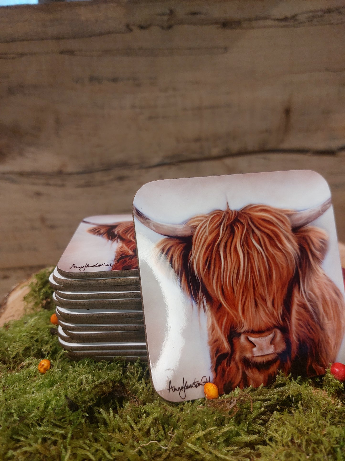 Angus Coaster
