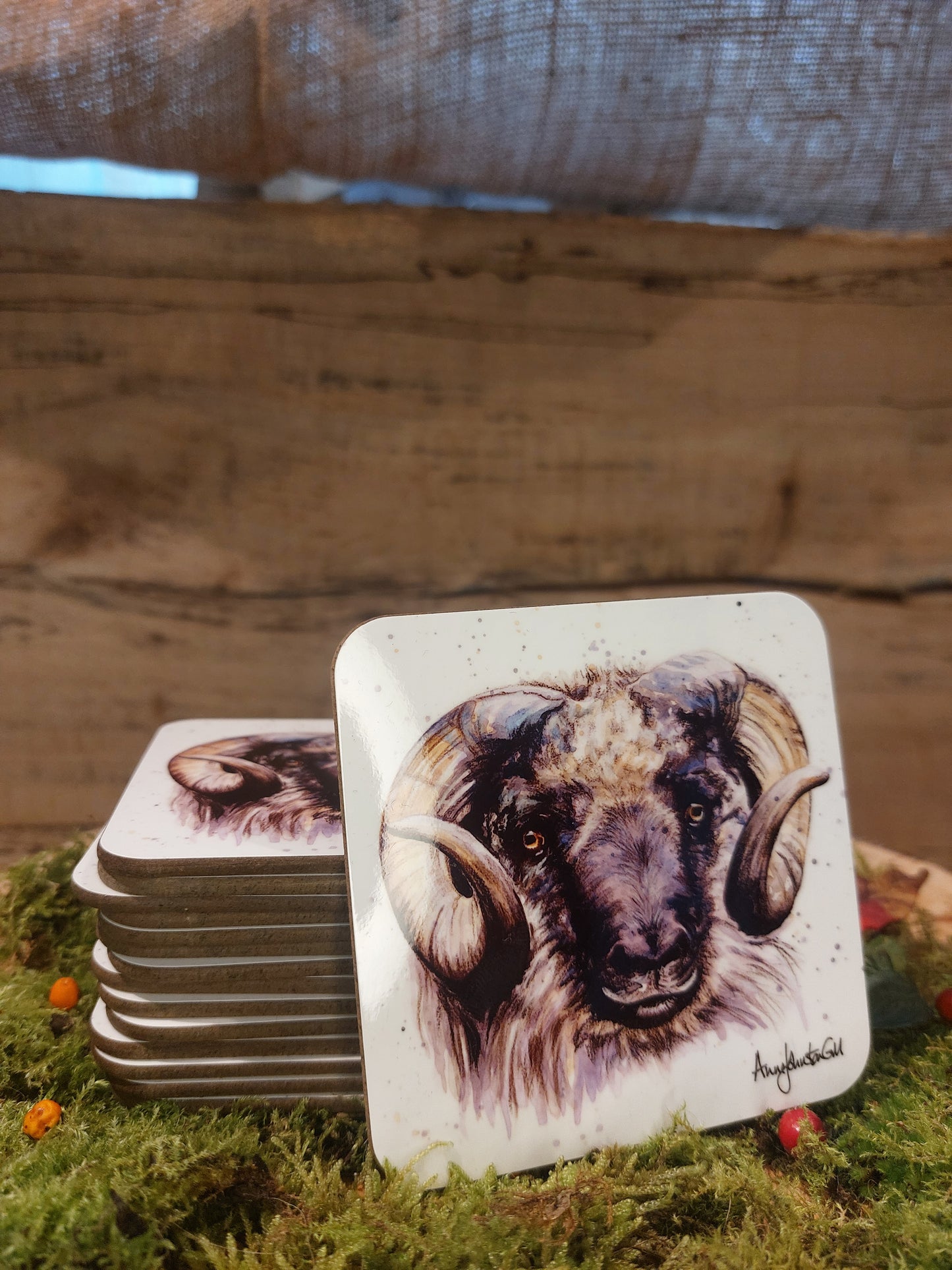 Ram Coaster
