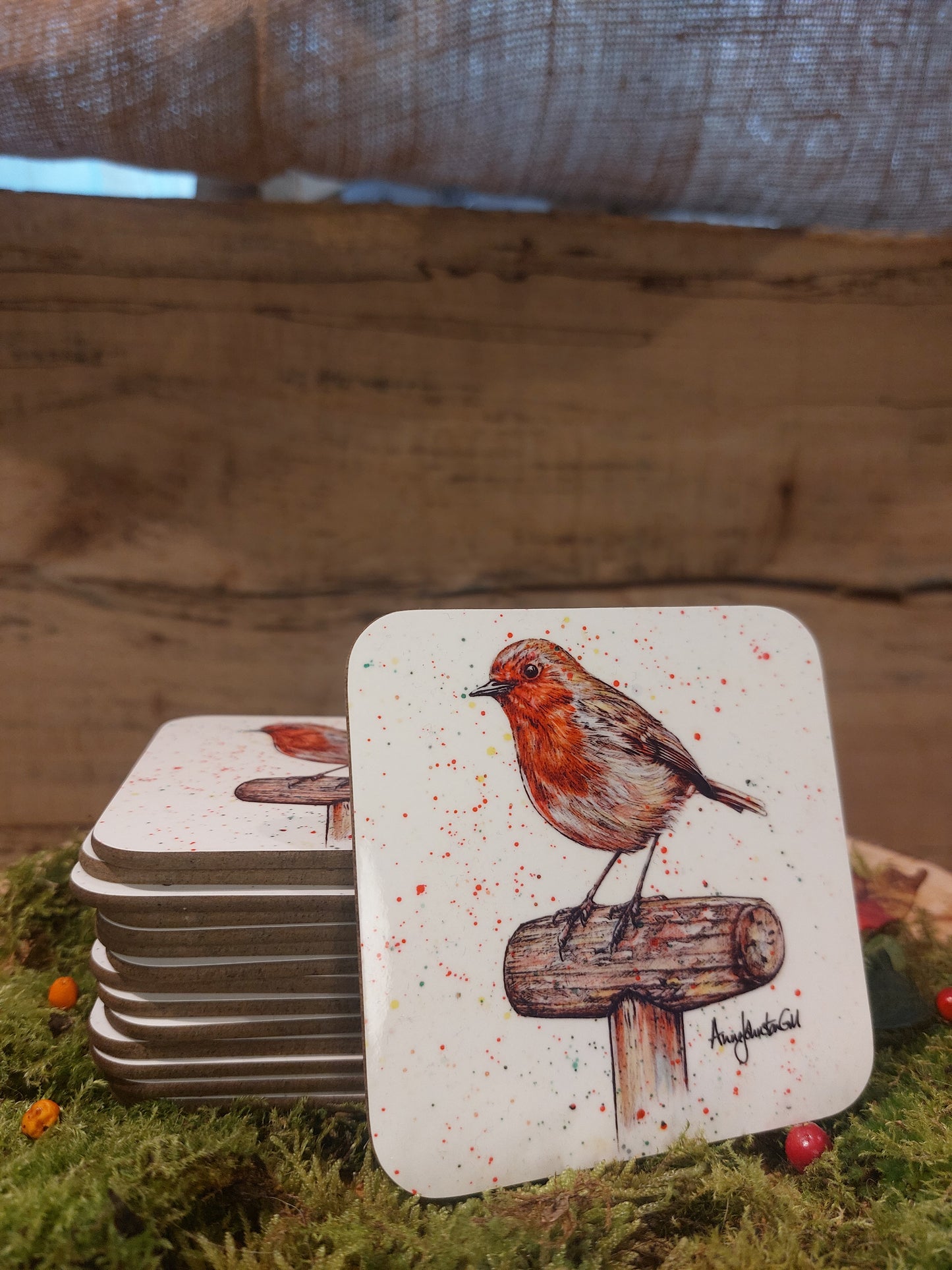 Splashy Robin Coaster