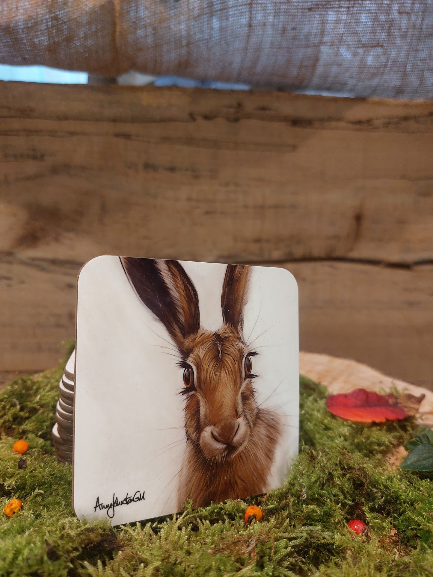 Cheeky Hare Coaster