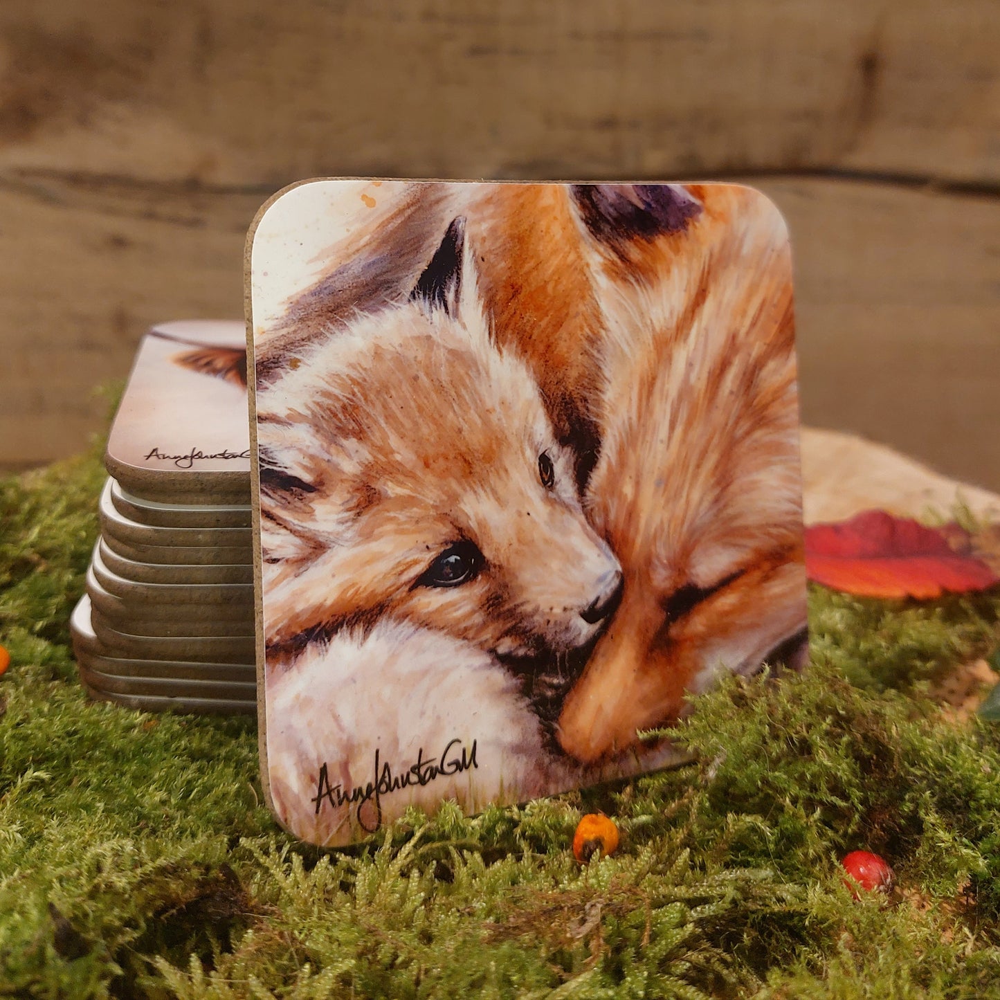 Fox and Cub Coaster