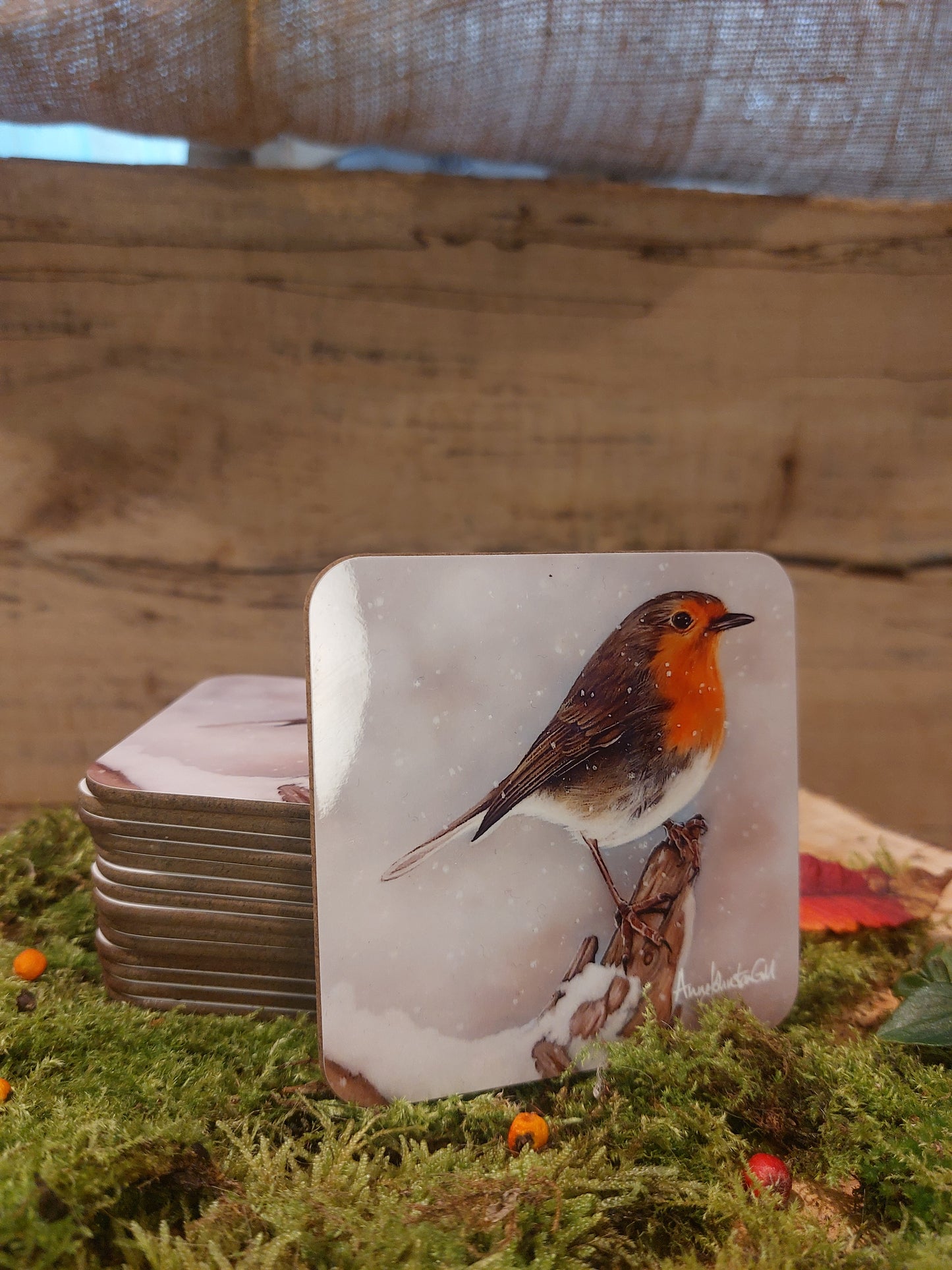 Snow Robin Coaster
