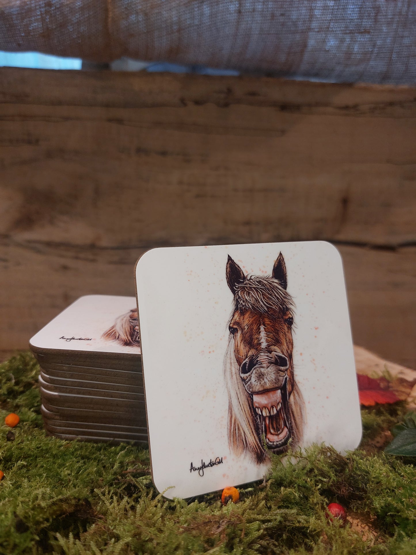 Cheeky Mare Coaster