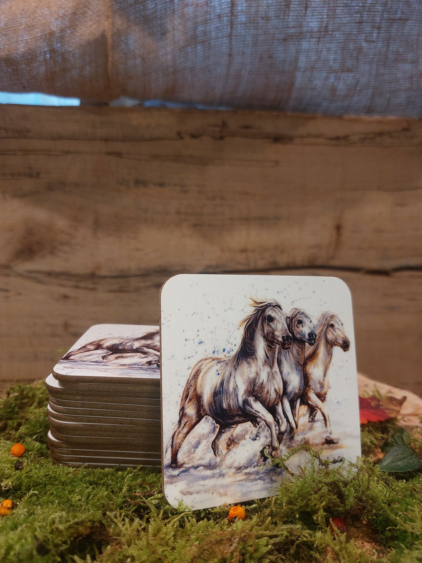 Trio Coaster