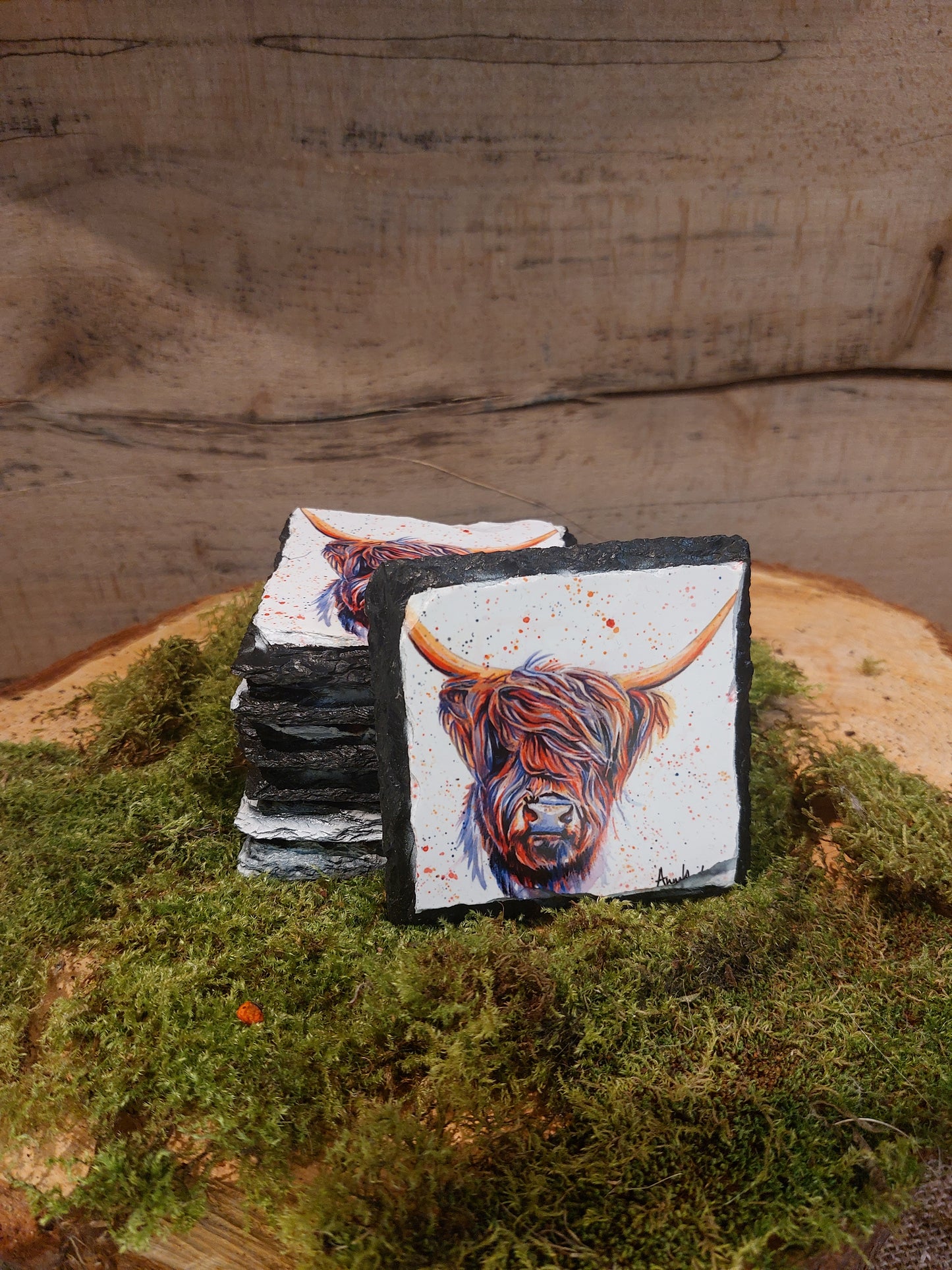 Multi-Coloured Cow