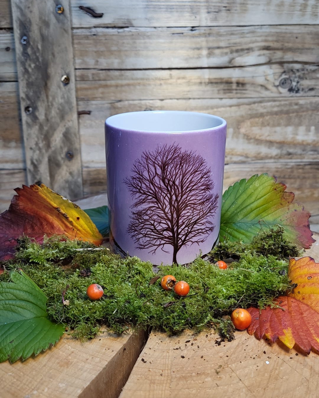 The sycamore mug