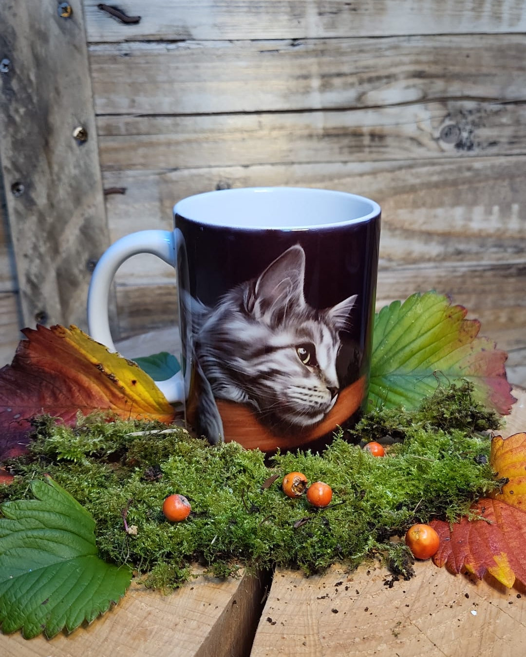Sleepy cat mug