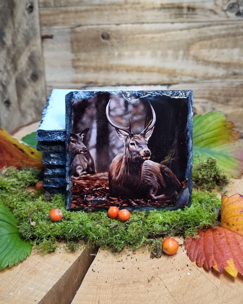 Look of love slate coaster