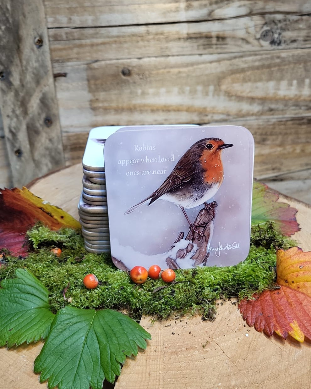 Snow Robin coasters