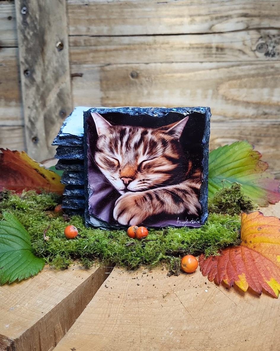 Sleepy cat slate coaster