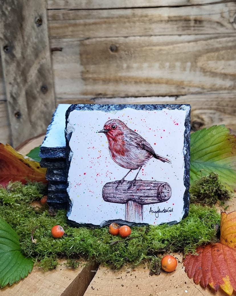 Robin on a spade slate coaster