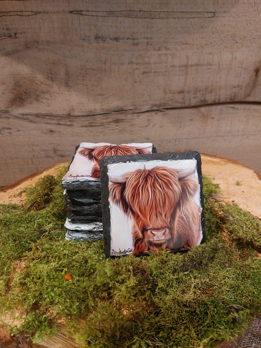 Hamish Slate
