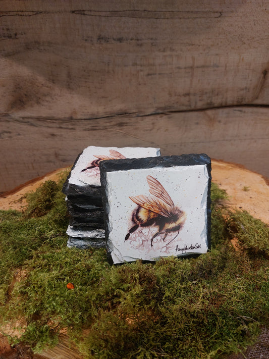 Bee Slate