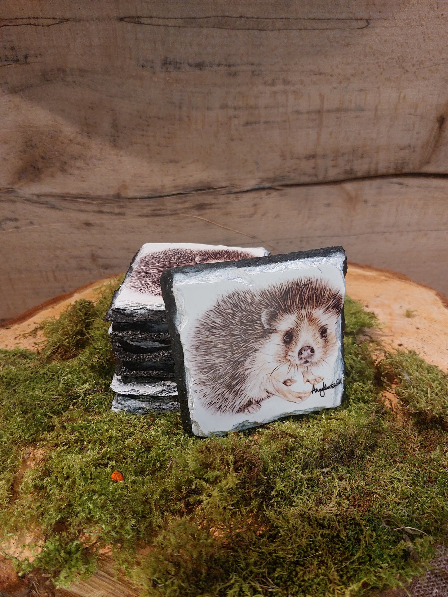 Hedgehog Slate