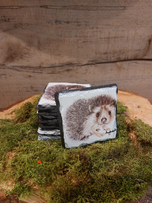 Hedgehog Slate