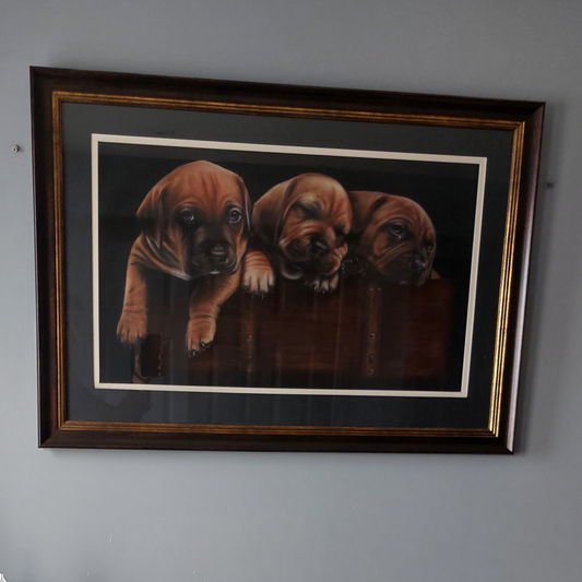 Ridgebacks