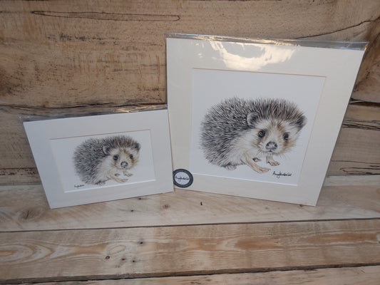 Hedgehog Print