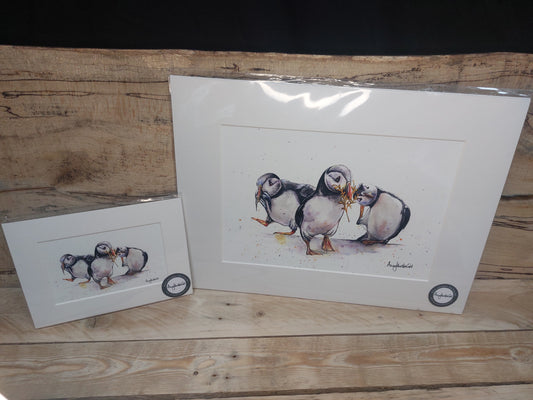 Wandering Puffins Prints