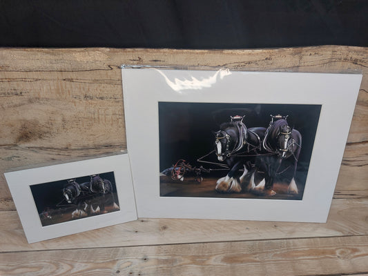 "Hard At Work" Shire Horse Print