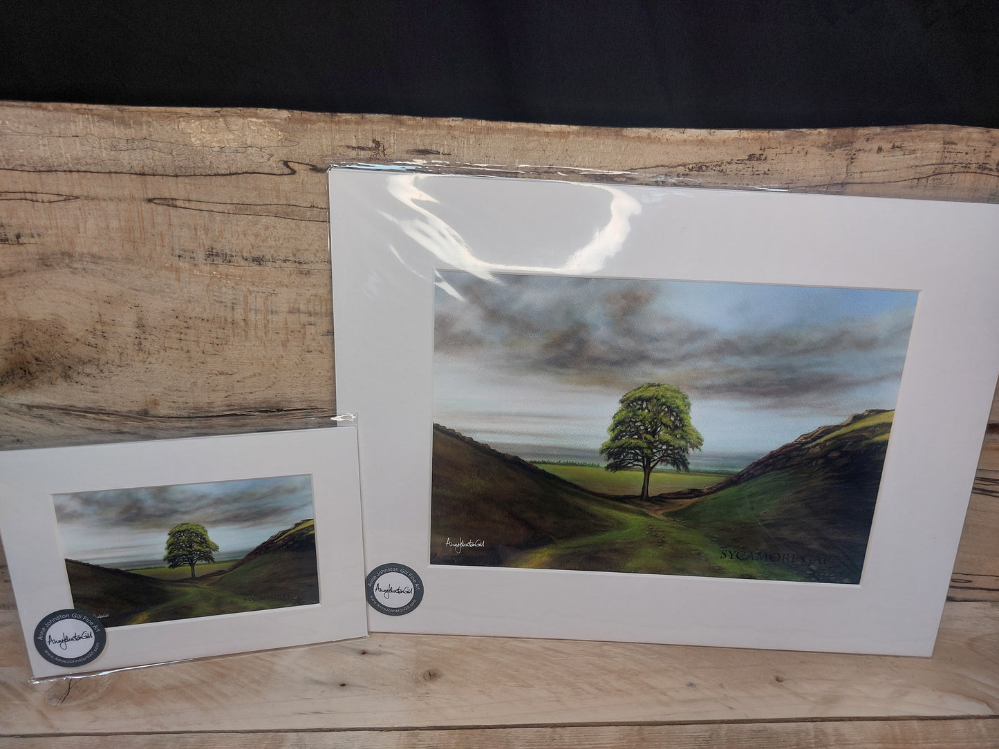 Morning Sycamore Gap Tree Print