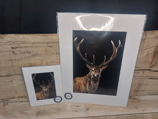 Through The Dark, Stag Print