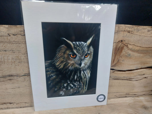 Owl Print