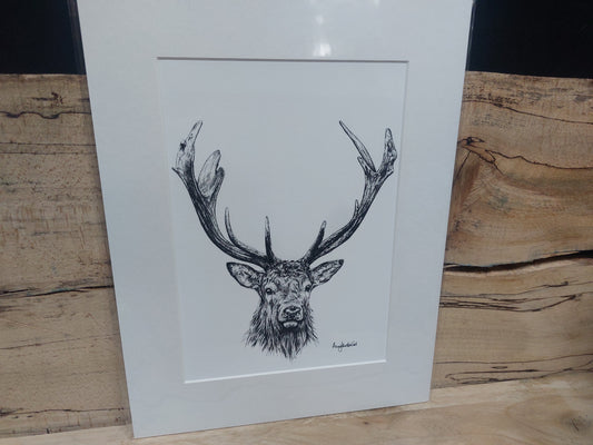 Black Pen Stag Print