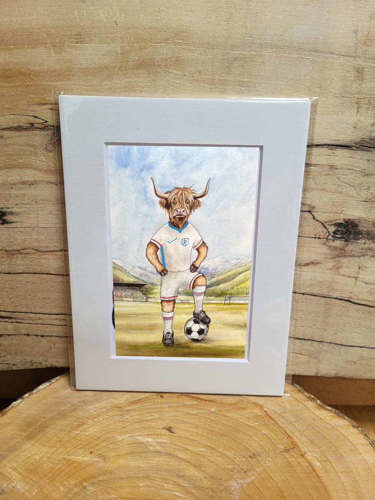 Football Cow's Print's
