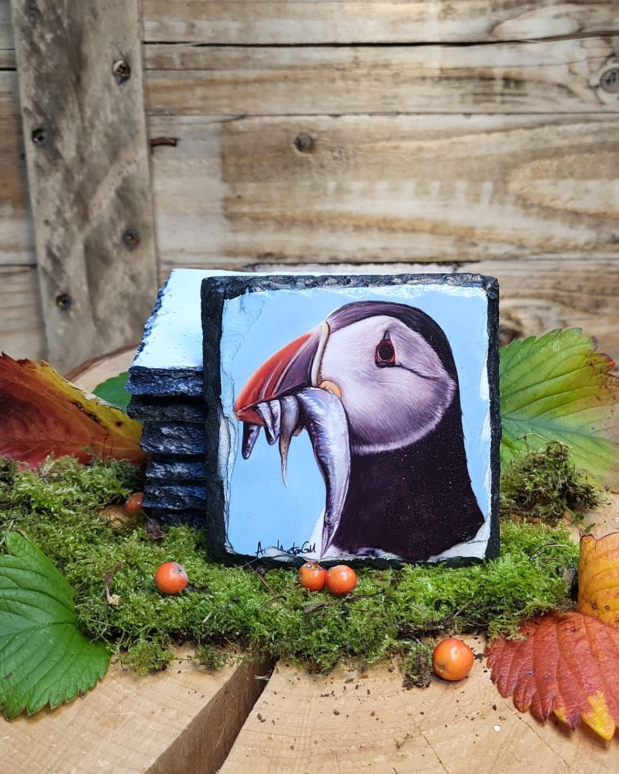 Feeding time slate coaster