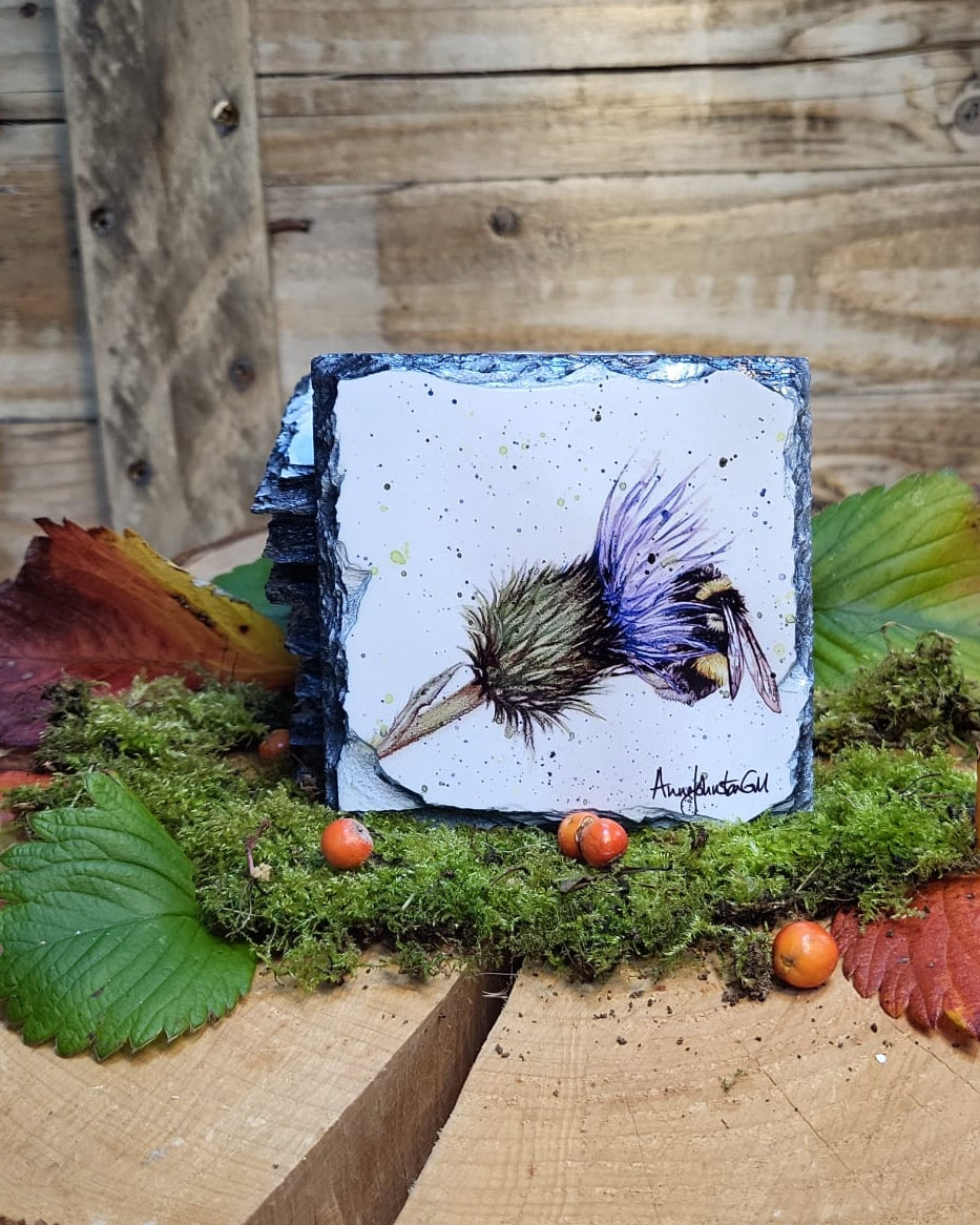 Thistle bee slate coaster