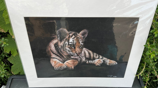 Tiger cub (Limited Edition)
