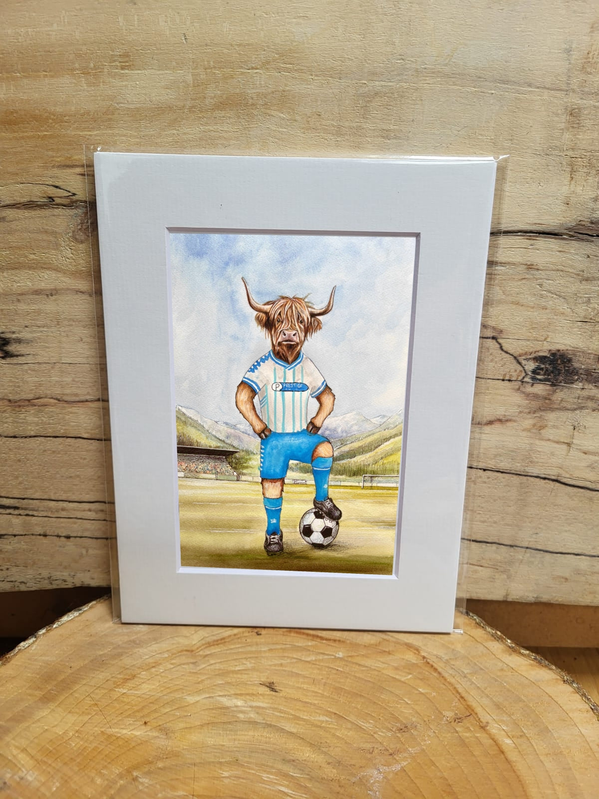 Football Cow's Print's